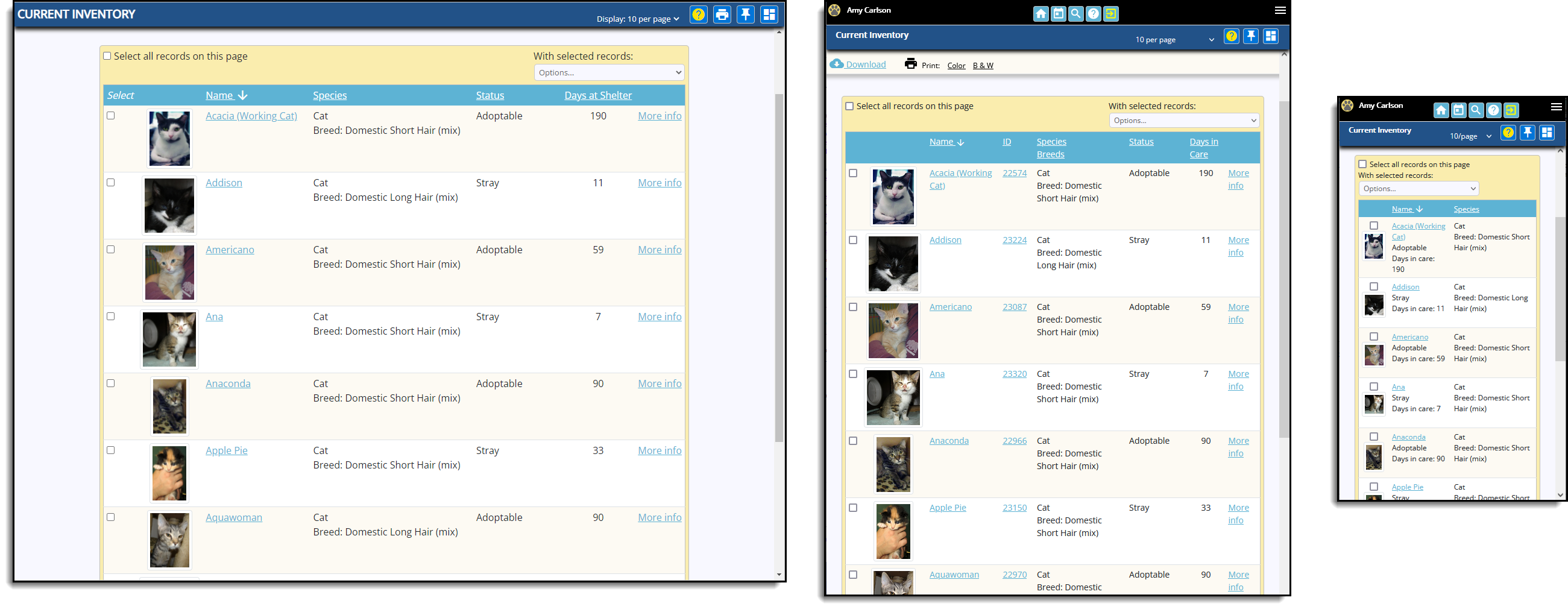 screenshot of Shelter Boss